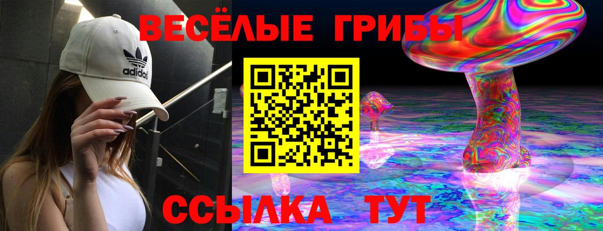 дарнет шоп  Галлюциногенные грибы Psilocybine cubensis  Вход с VPN  Сибай  Галлюциногенные грибы Magic Shrooms 